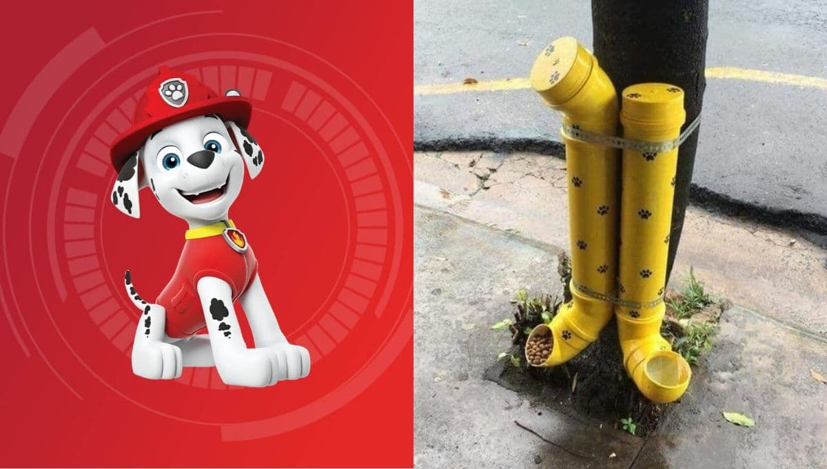 Cómo hacer un comedero automático para perro de Marshall de Paw Patrol: tutorial fácil