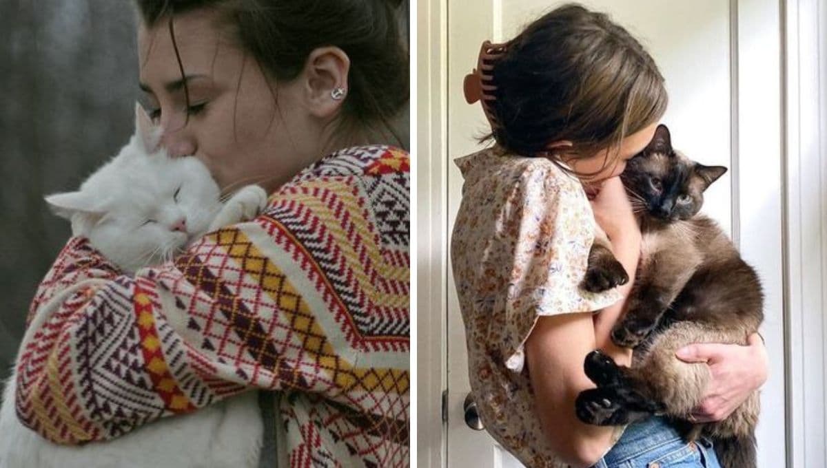 ¿Cómo reconocen los gatos a las personas?