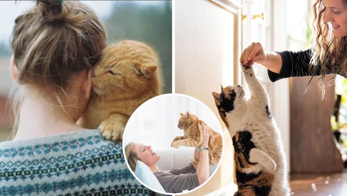 ¿Los gatos saben cuando estas embarazada?