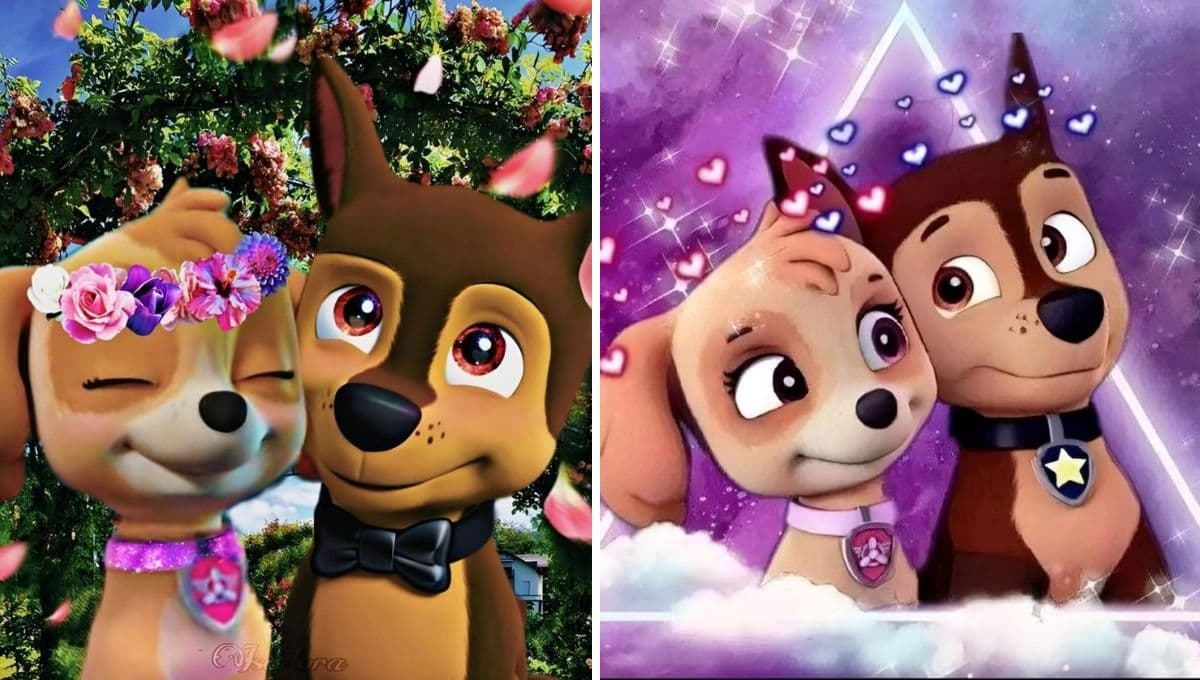 Stickers de Chase y Skye de Paw Patrol que demuestran que sí son novios