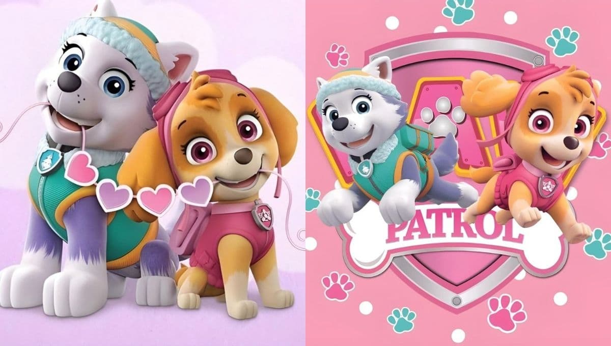 Stickers bonitos de Skye y Everest de Paw Patrol para enviar a tus amigas