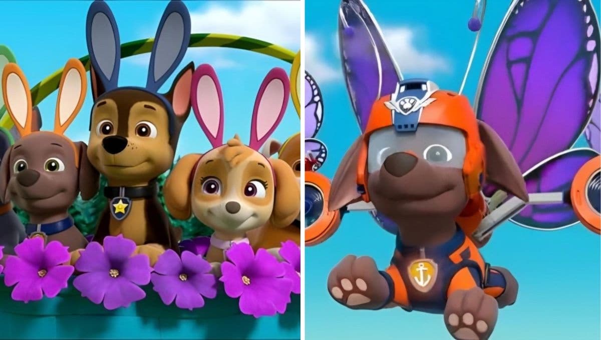 Stickers bonitos de Paw Patrol con flores y animalitos para despedir al invierno
