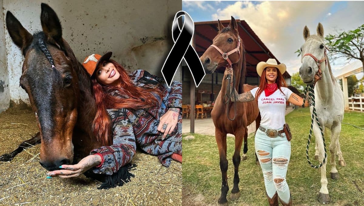 ¿Quién era Elena Larrea? La activista que salvaba caballos y burros del abandono