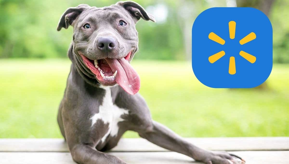 Costal de croquetas para perro Ganador, sobres de alimento y juguete en REMATE en Walmart