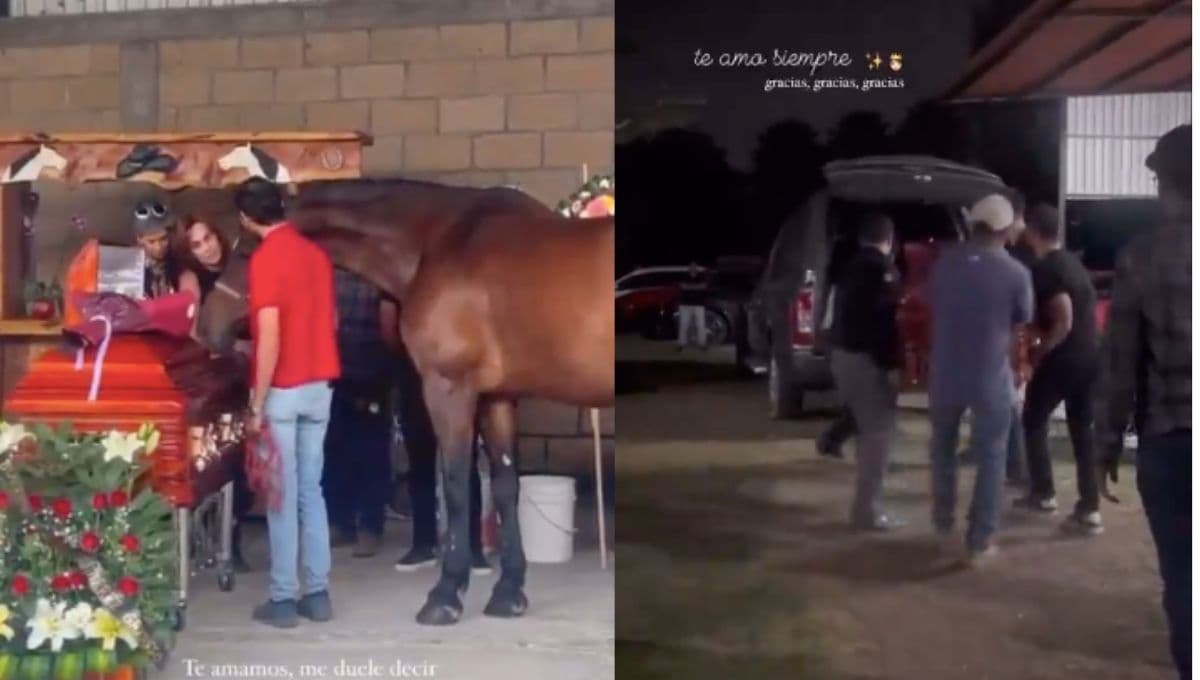 VIDEO: caballos de Cuacolandia se despiden emotivamente de Elena Larrea, su rescatista