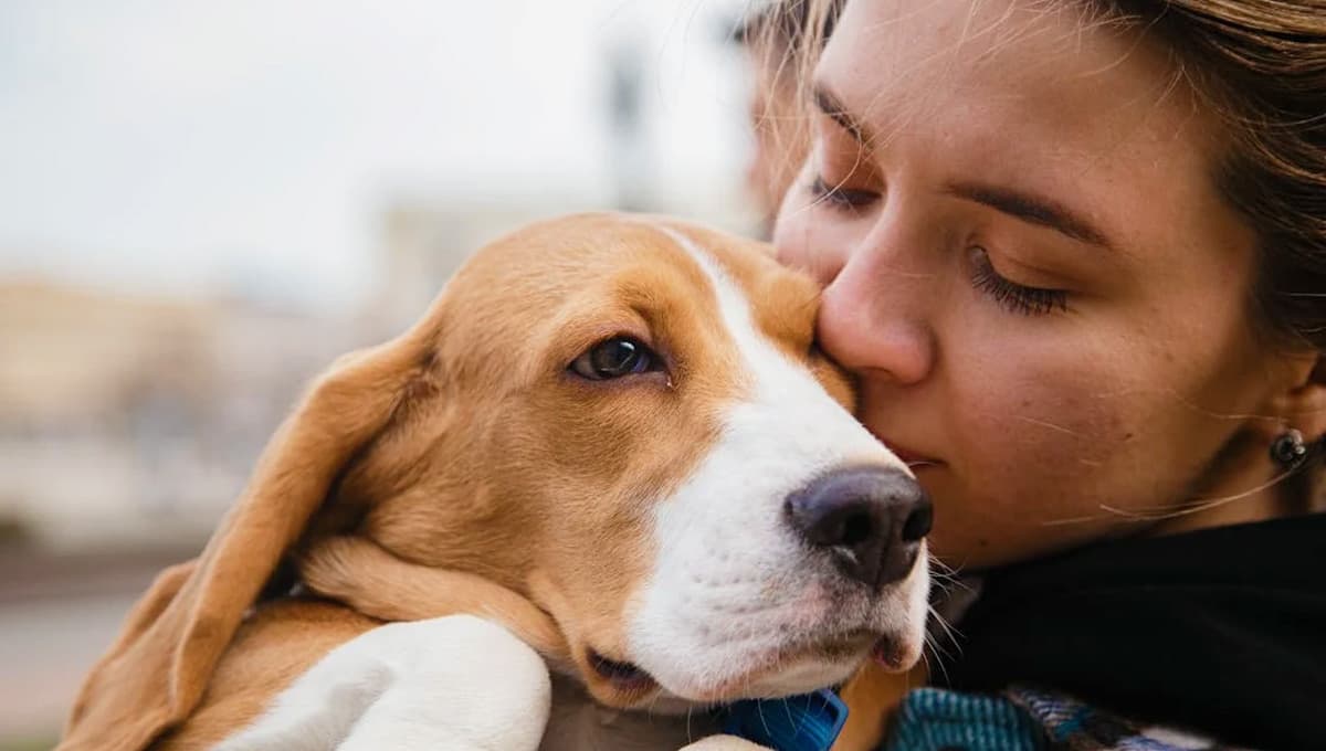 Tu perro sí te entiende cuando le hablas, pero prefiere ignorarte, revela estudio