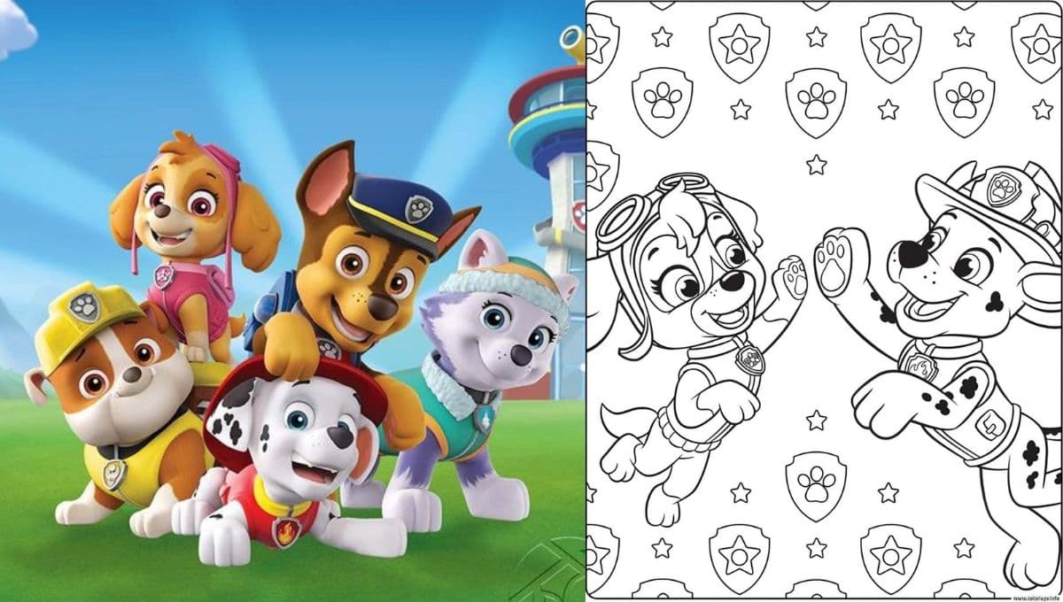 Dibujos de Paw Patrol para colorear en la semana del 25 al 31 de marzo