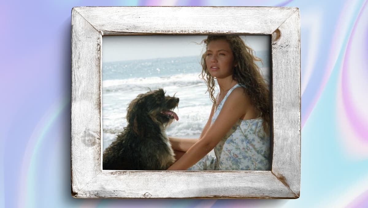 ¿Qué pasó con ‘Pulgoso’, el perro de la telenovela Marimar?