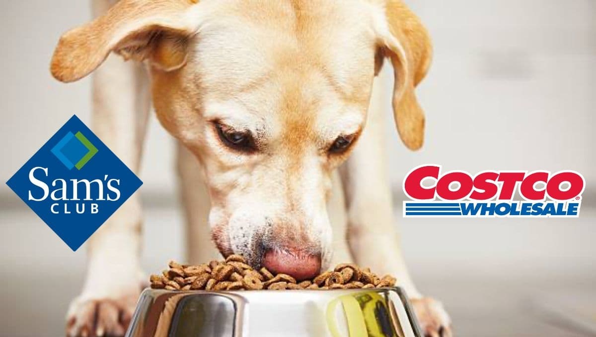 Sam’s vs Costco, ¿cuál tiene las mejores croquetas para perro y por qué?