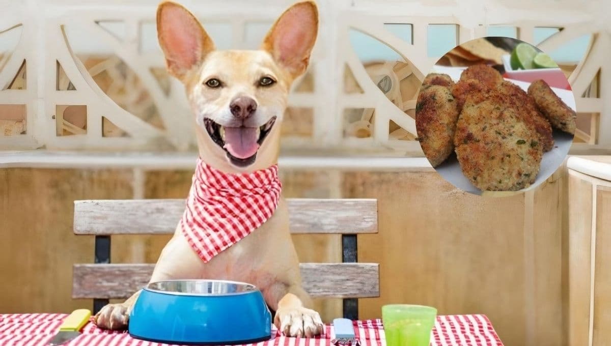 3 alimentos caseros para perros pequeños: fáciles de preparar sin croquetas