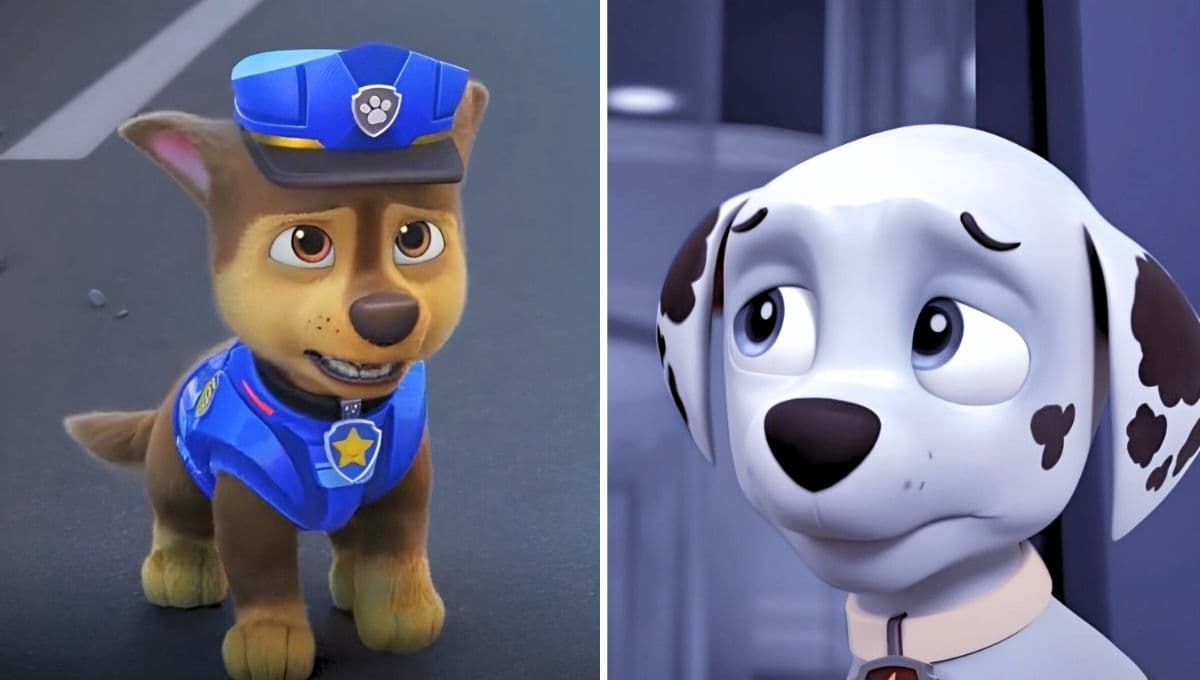 Stickers de Paw Patrol tristes para compartir porque ya se acabaron las vacaciones