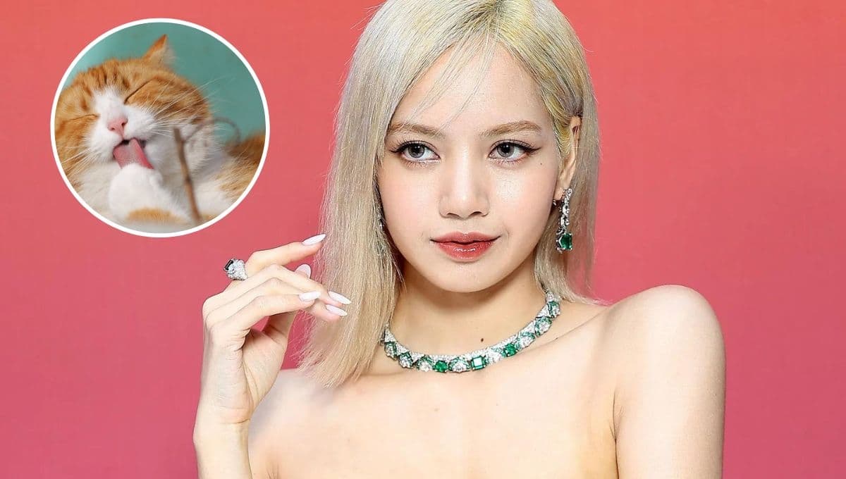 ¿Cómo se llaman los gatos de Lisa de BLACKPINK?