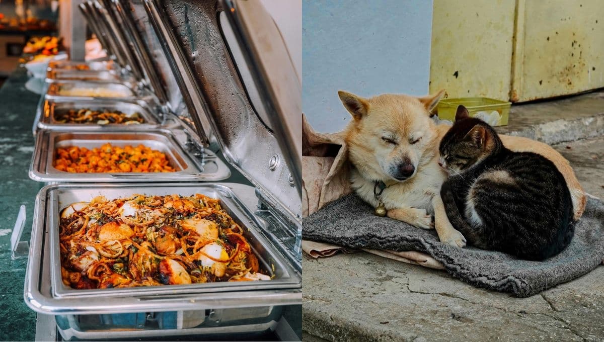 Restaurante chino hacía comida con carne de perro, gato y rata: ¿cómo saber si la carne que estoy comiendo es de otro animal?