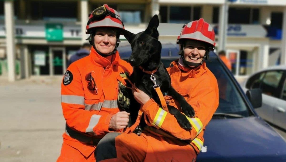 Vesper: la historia de la perrita que rechazaron para ser policía, pero salvó muchas vidas