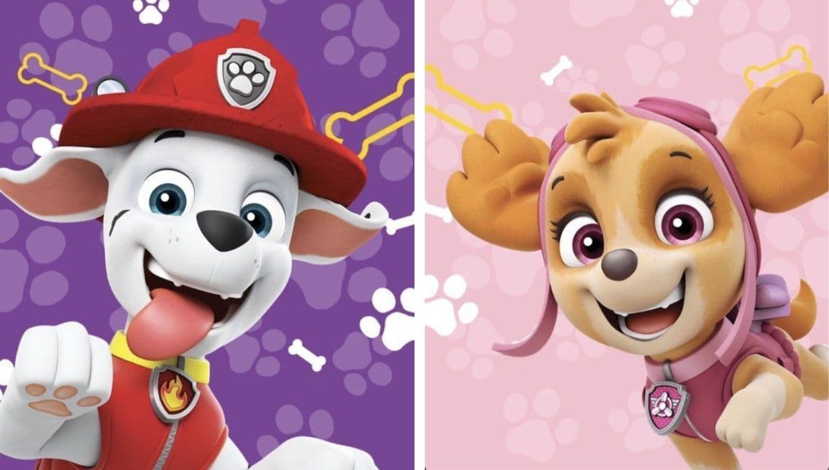 Imágenes bonitas de Paw Patrol para imprimir a color: stickers para recortar