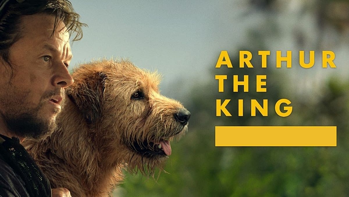 Descubre todo sobre la raza Pastor de Maremma mestiza, el perro de ‘Arthur the King’