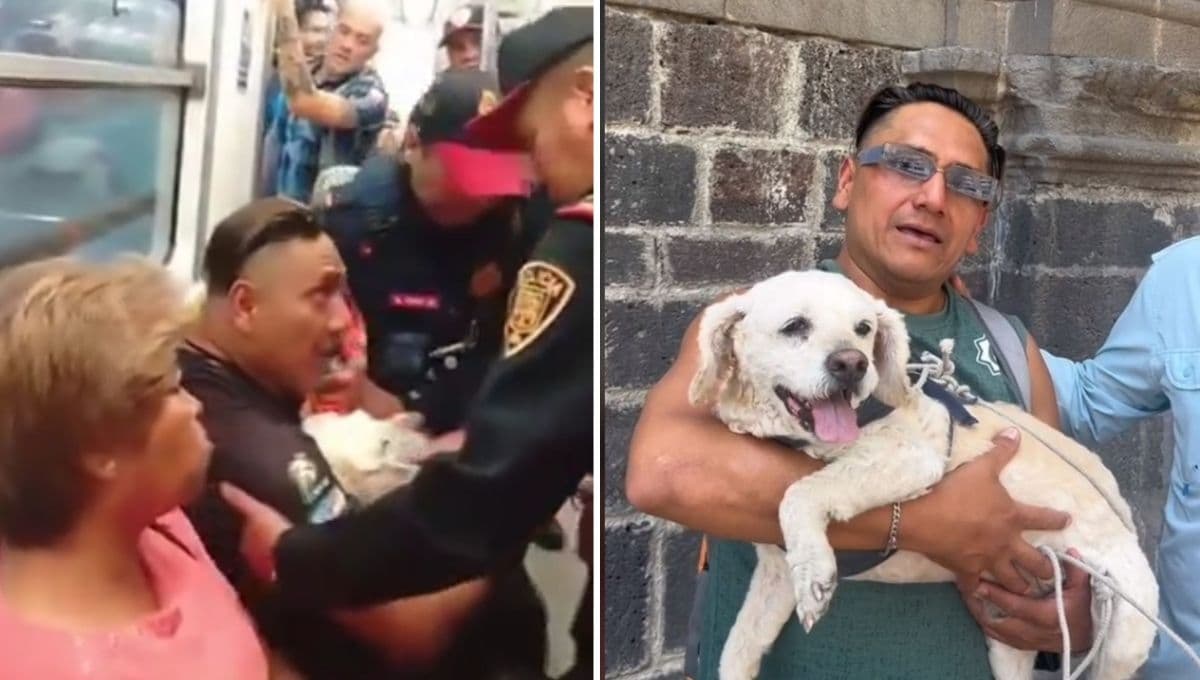 ¿Qué pasó con el hombre que bajaron del Metro CDMX con su perrito herido? Reaparece y cuenta su historia