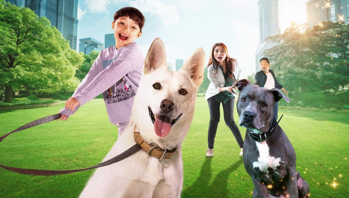 3 películas sobre perros en Netflix para hacer un maratón este fin de semana