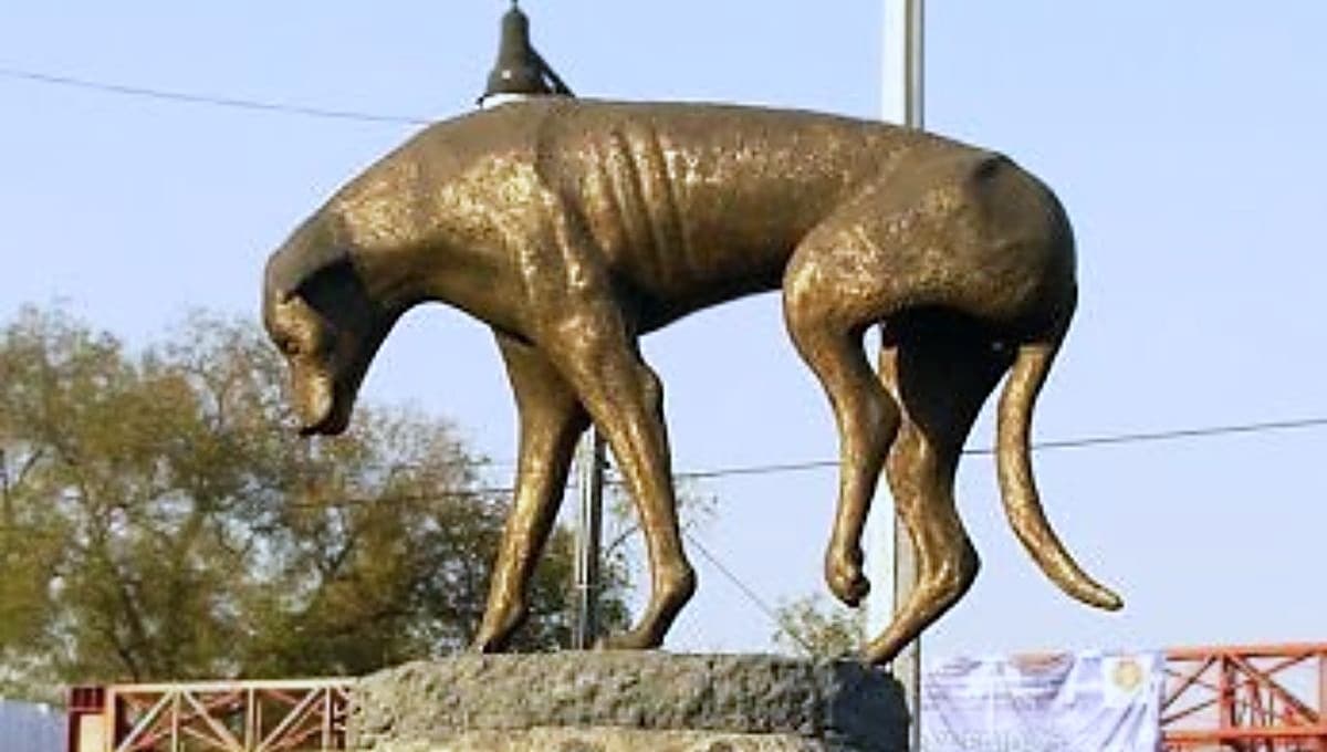 La historia del Monumento al Perro Callejero que te conmoverá hasta las lágrimas