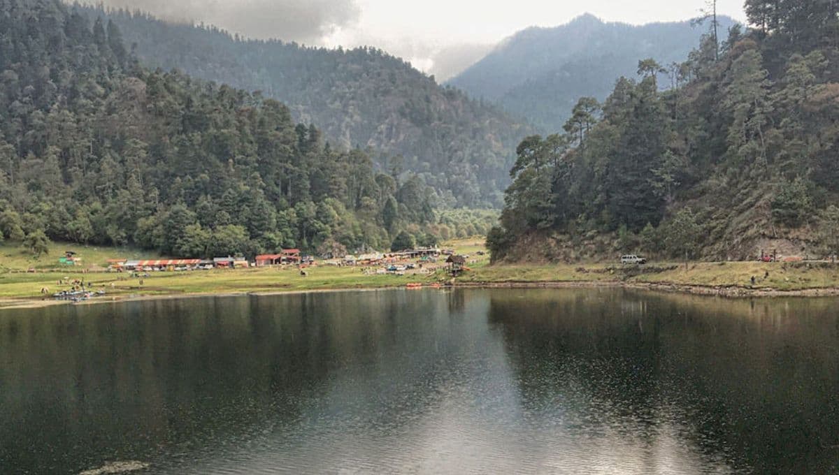 3 parques hermosos cerca de CDMX para una caminata con tu perro este fin de semana