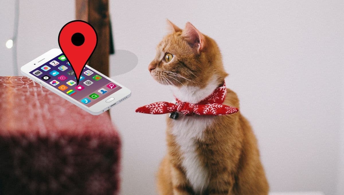 Tile para gatos: El localizador más BARATO que te permitirá ubicar a tu gato con tu voz