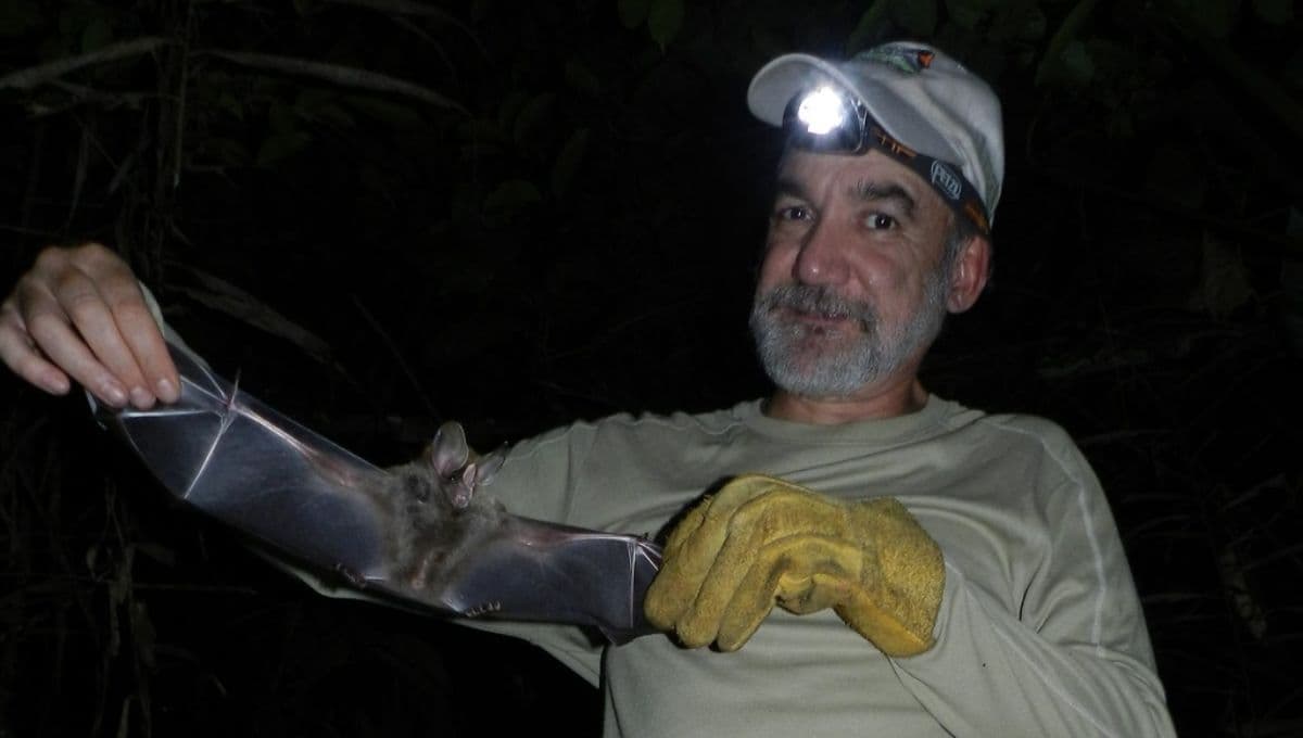 Conoce a Rodrigo Medellín, el ‘Batman mexicano’ que ha salvado a murciélagos de la extinción