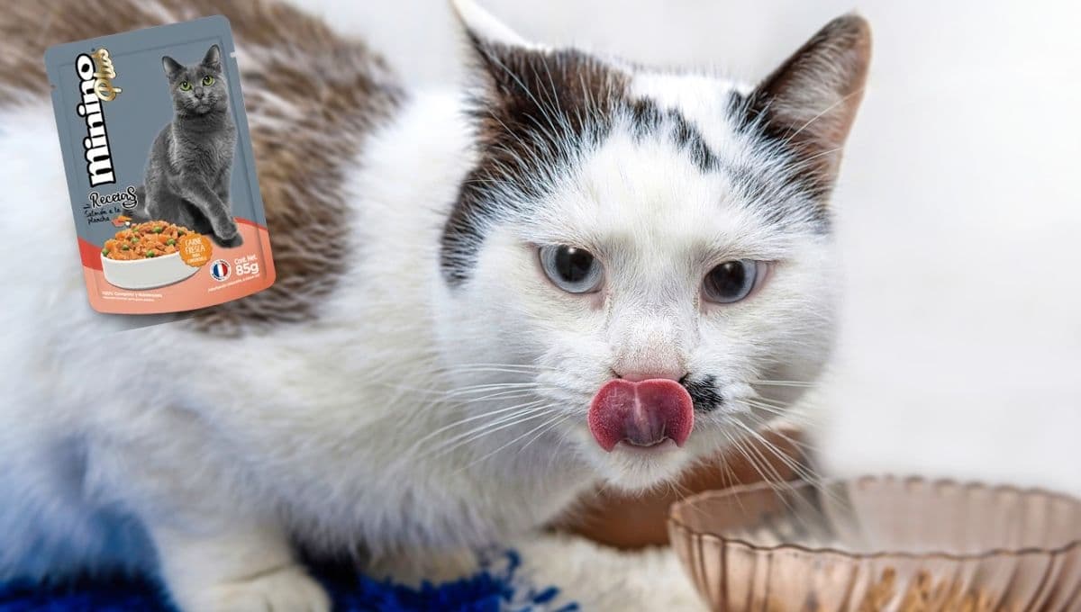 ¿Qué tan buenos son los sobres Minino para gato?