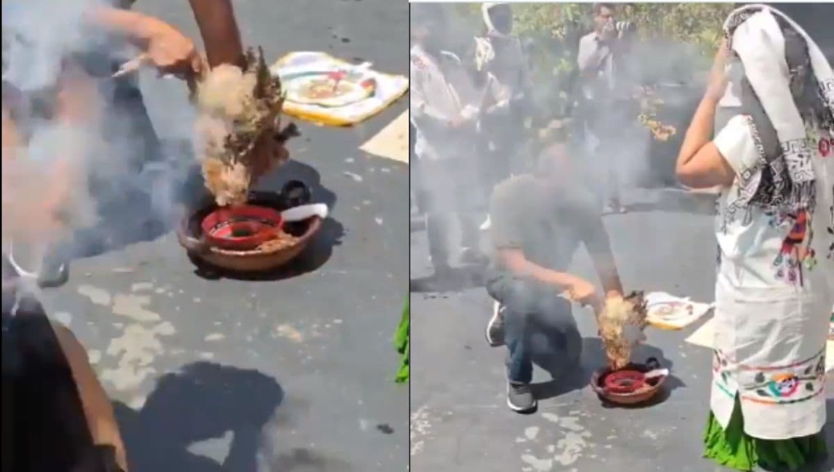 Sacrifican a animales durante ofrenda en el Senado: VIDEO