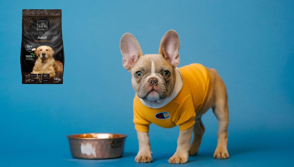 ¿Qué tan buenos son los alimentos light para perros?