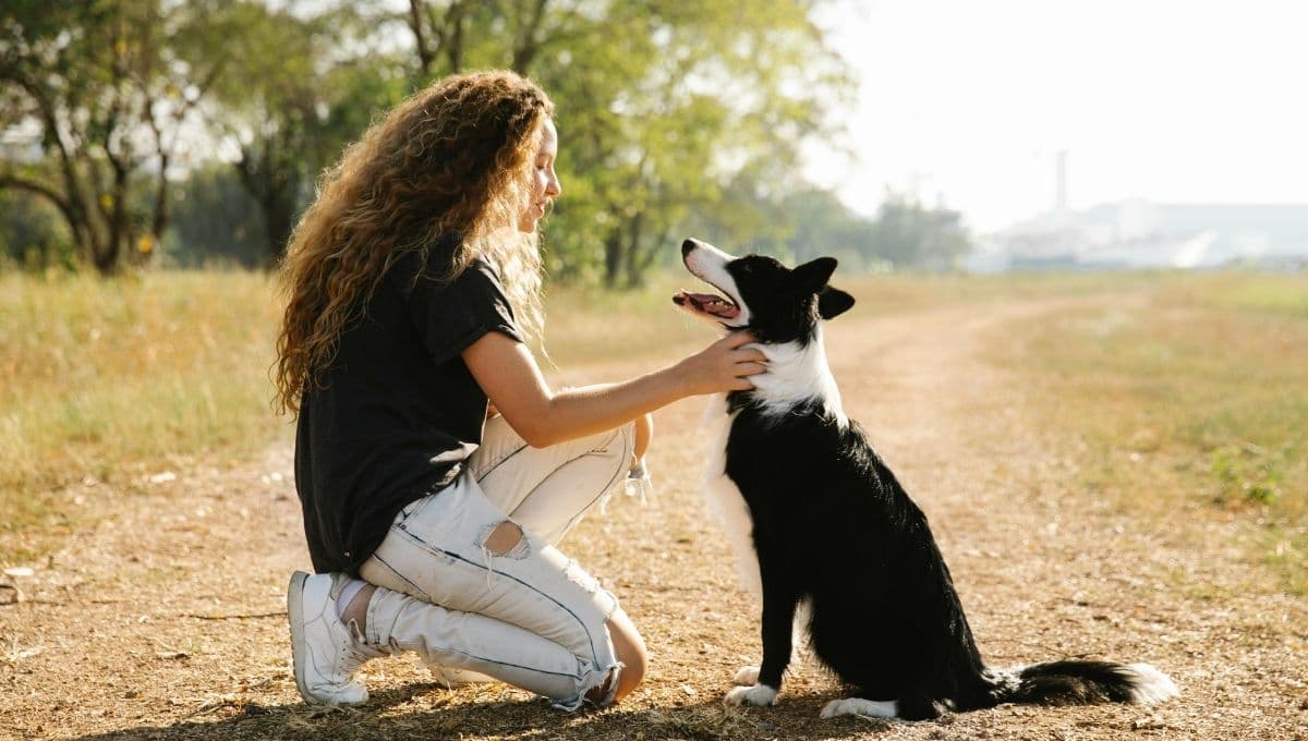 Esta es la mejor hora para sacar a pasear a tu perro
