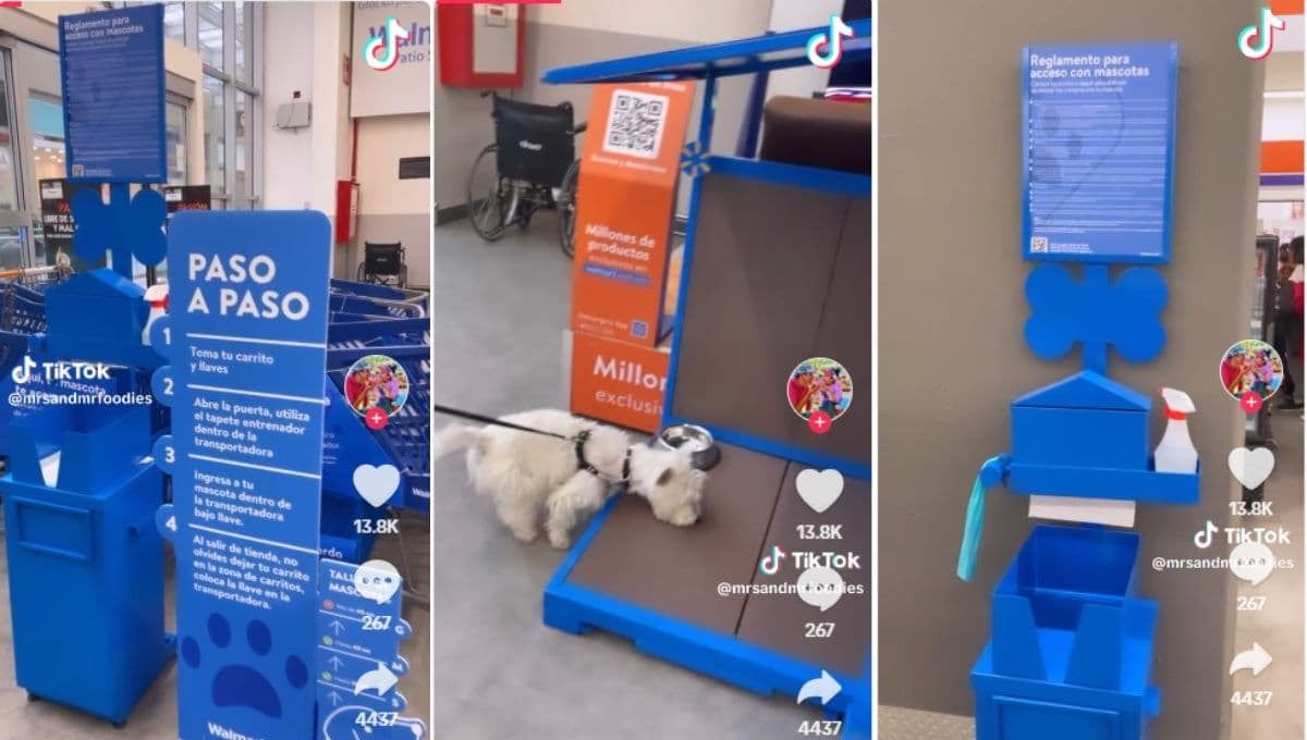 ¿Puedo entrar con mi perro a Walmart?