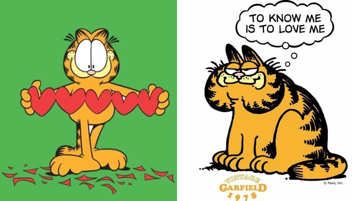 ¿Qué raza de gato es Garfield? 5 cosas que no sabías del famoso personaje