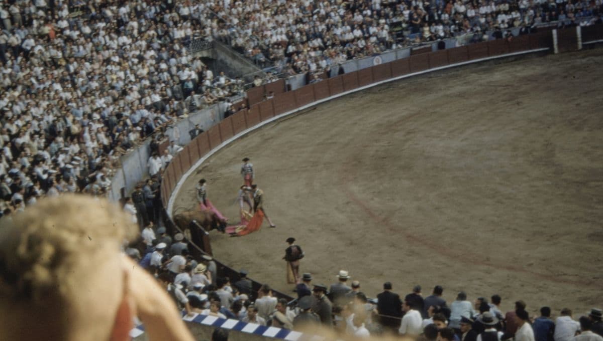 Revocan resolución de suspensión de forma temporal las corridas de toros en la Plaza México