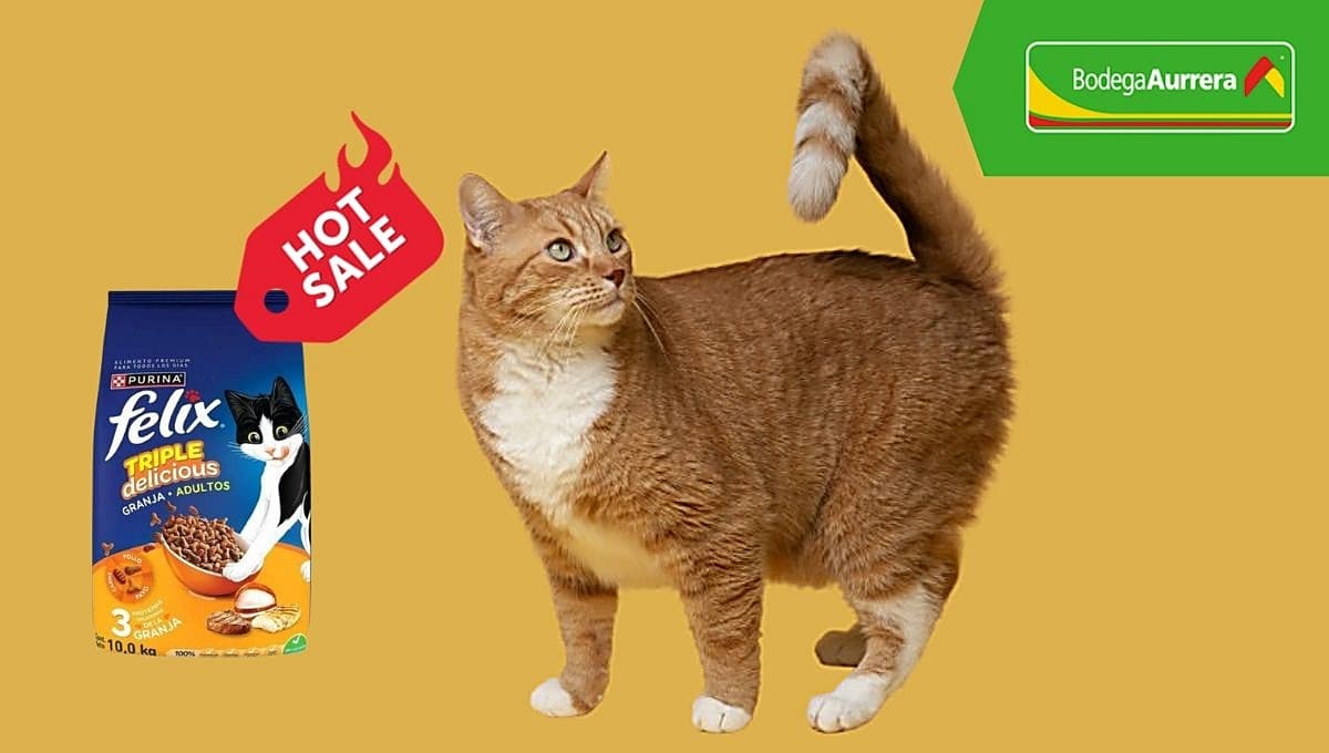Hot Sale 2024: Bodega Aurrera hace descuento en costal de croquetas para gato avalado por Profeco