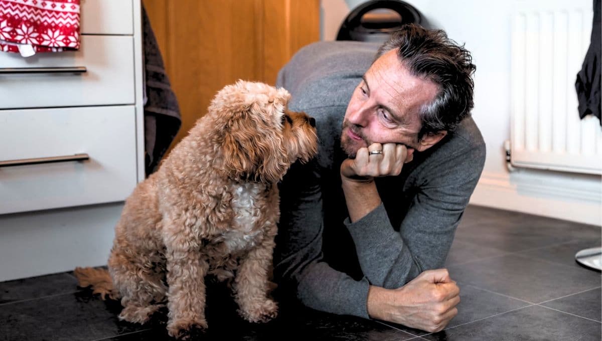 El truco para calcular la edad de un perro