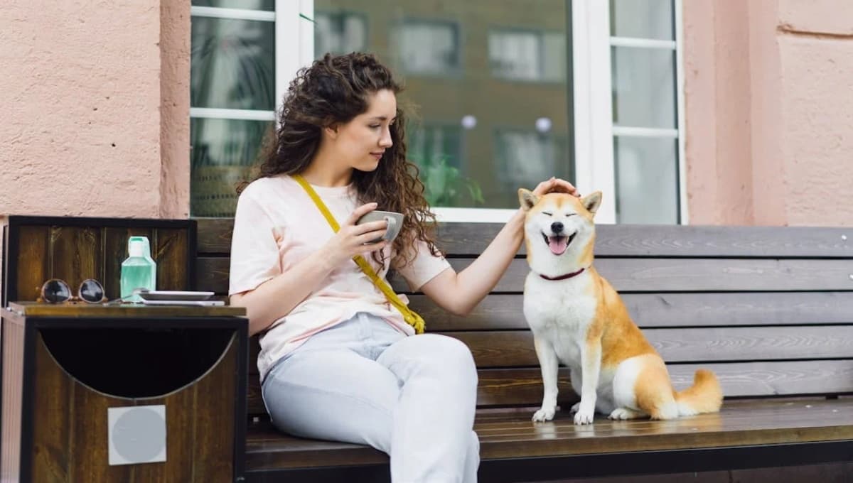 Museos pet friendly en la CDMX para visitar con tu perro