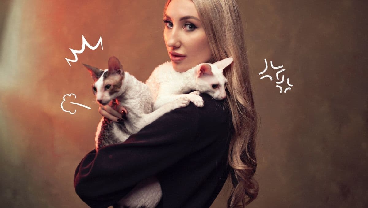 3 características de un gato CELOSO y que te quiere para ÉL