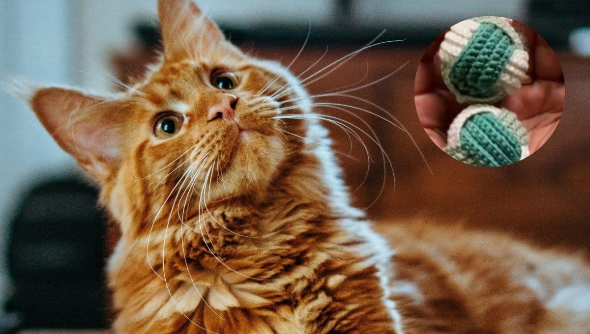 Tutorial para hacer una pelota con estambre para gato