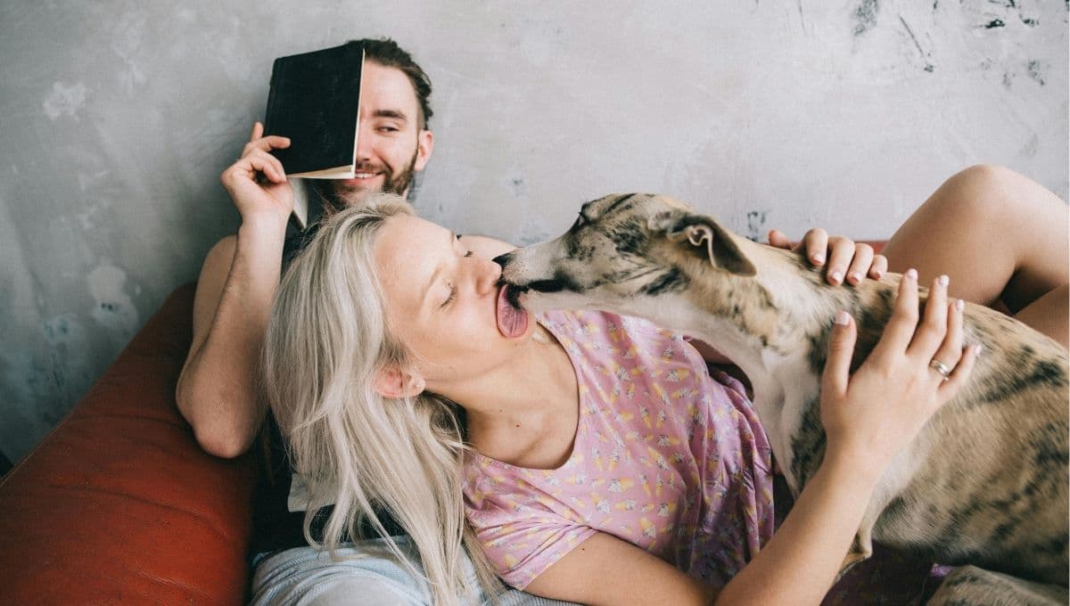 ¿Por qué mi perro me lame tanto?