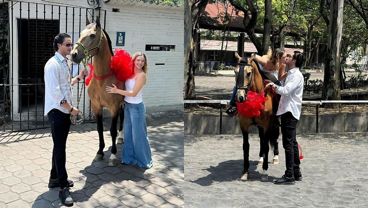 Novio de Mía Rubín le regala caballo por su aniversario: ¿cuánto cuesta y cómo tener uno?