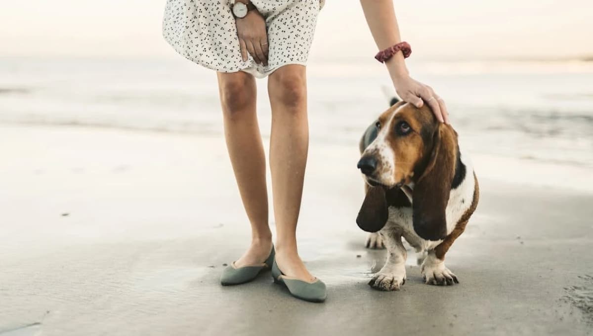 ¿Es malo que tu perro te lama los pies?