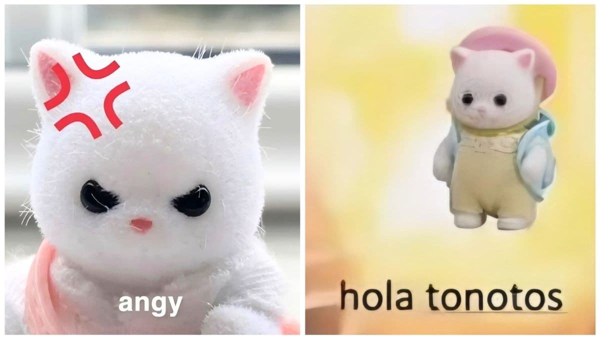 Memes de Ternurines para superar el insoportable calor