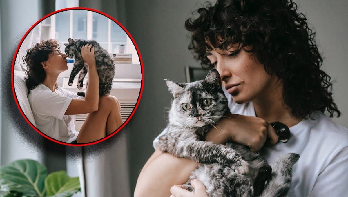 3 características de un gato que sabe que lo QUIEREN y es muy feliz