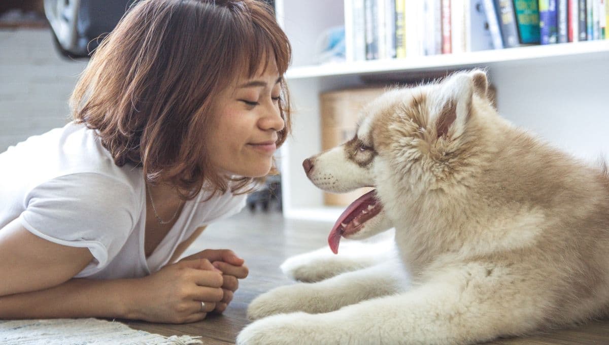 La razón por la que las personas le hablan igual a los perros y a los bebés