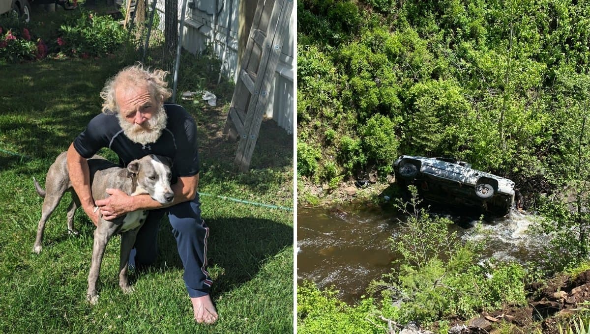 Perro salva la vida de su dueño tras correr 6 kilómetros y pedir su rescate