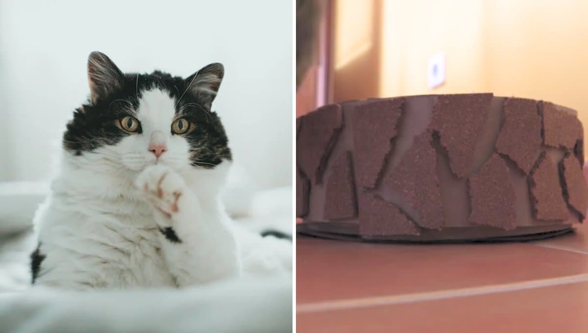 Tutorial: ¿Cómo hacer un juguete para gato?