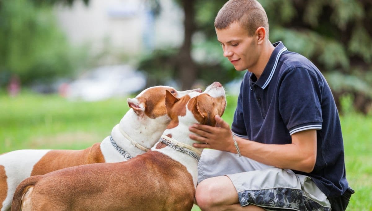 ¿Por qué dicen que los perros se parecen a sus dueños?
