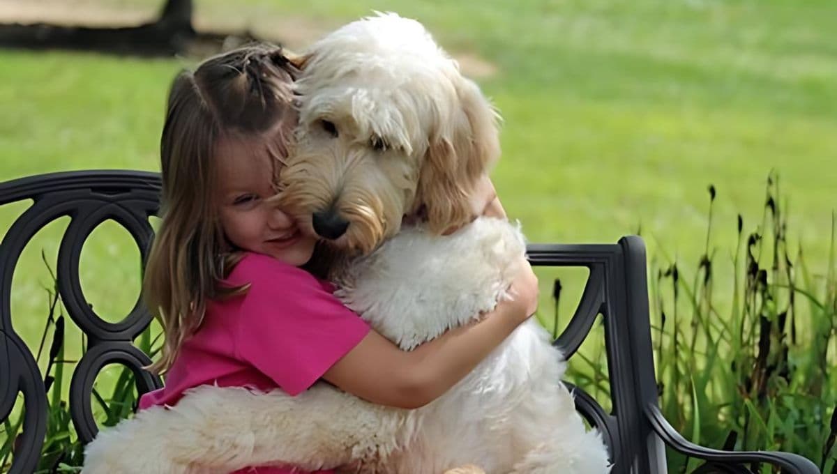 Niña dibuja a su perrito perdido ¡y lo encuentran gracias a su imagen!