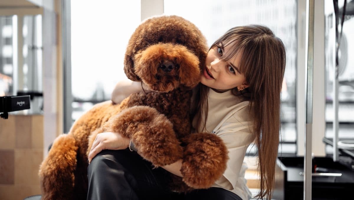 ¿Cómo traducir los ladridos de tu perro, según la inteligencia artificial?