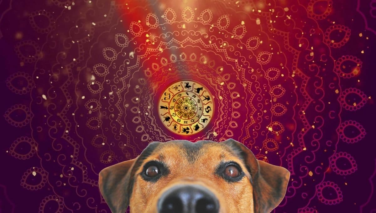 Horóscopo de tu perro: ¿Qué le espera a tu mascota hoy 15 y 16 de junio?